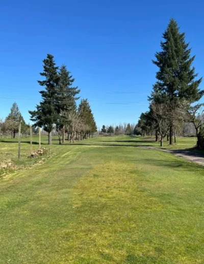 middlefield golf course 14